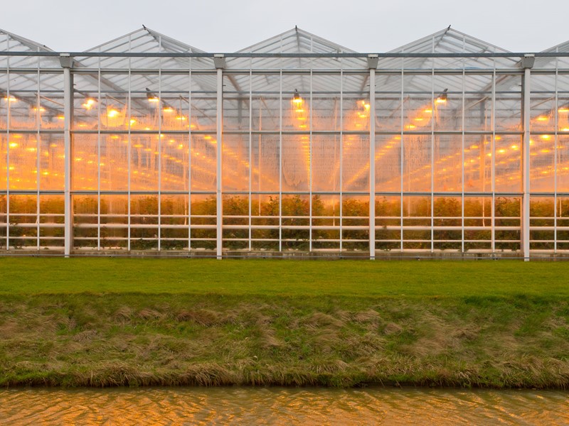 Kassen in de avond waarbij de warmte lampen zichtbaar aan zijn